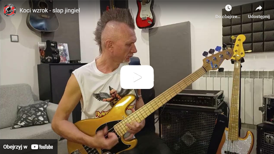 Koci wzrok - jingiel slap